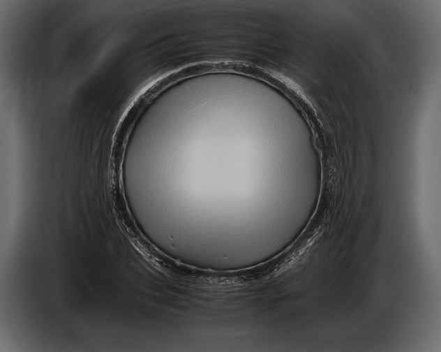 X0000087010927200705071523