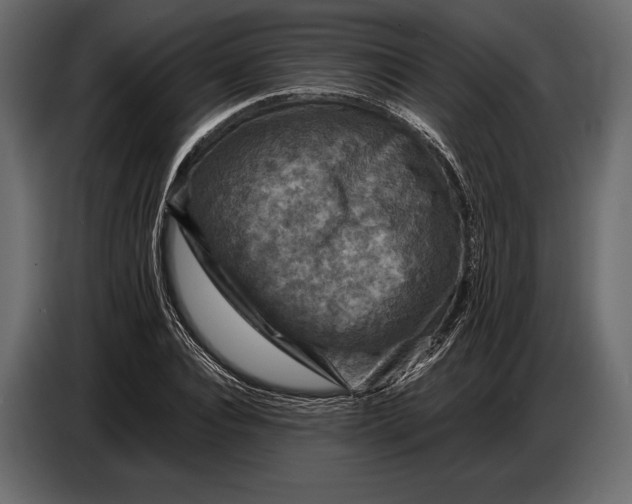 X0000087010928200705071523