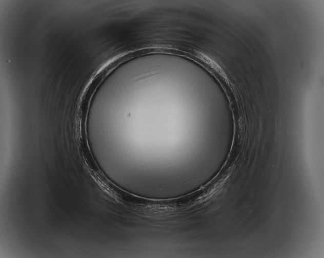 X0000087010931200705071523