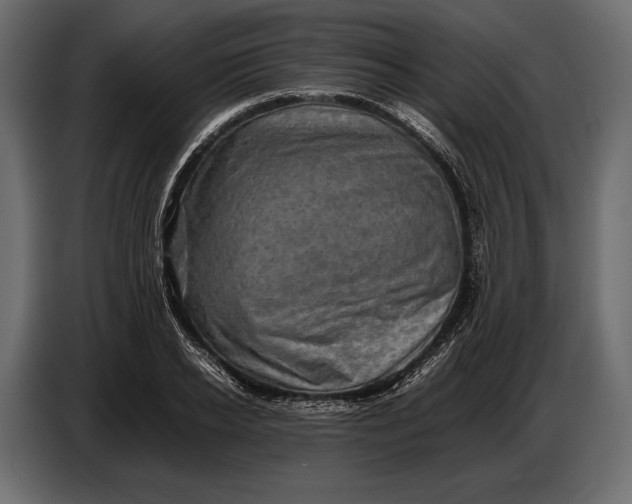 X0000087010934200705071523