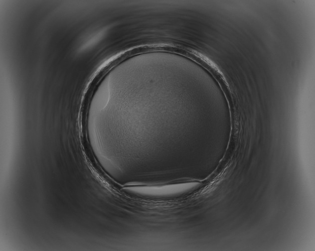 X0000087010935200705071523