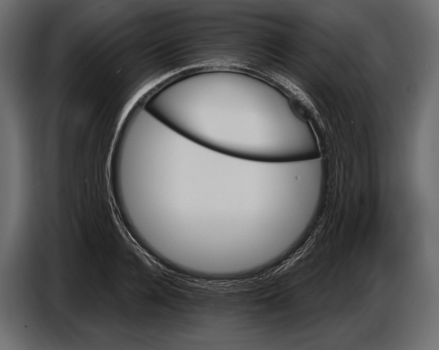 X0000087010936200705071523