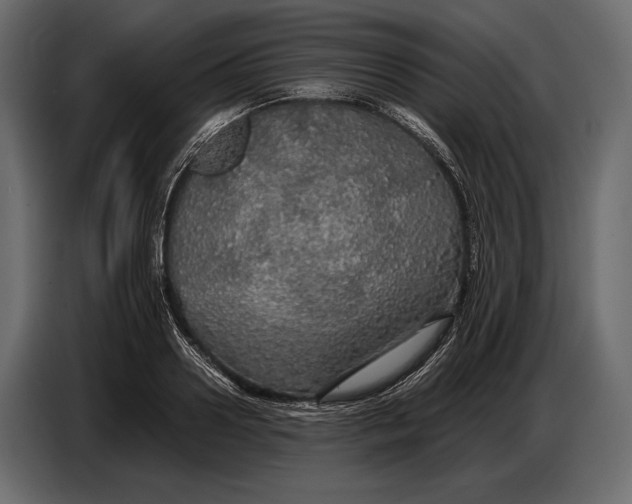 X0000087010938200705071523