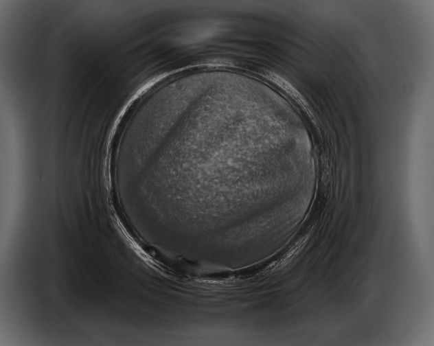 X0000087010939200705071523