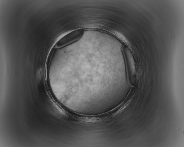 X0000087010940200705071523