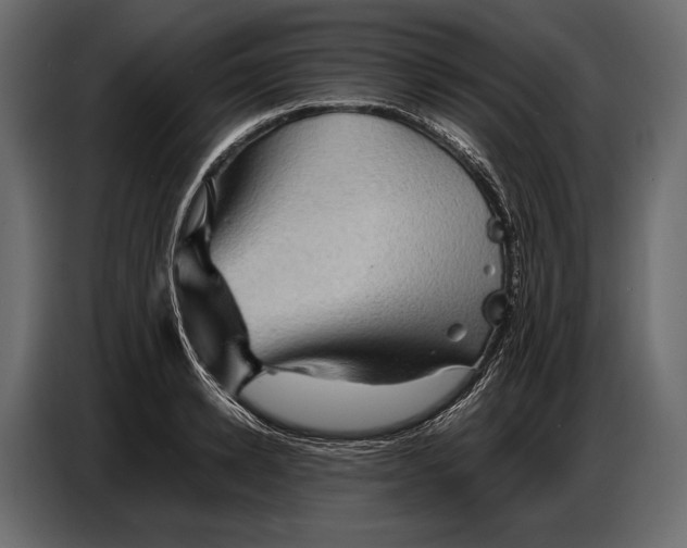 X0000087010942200705071523