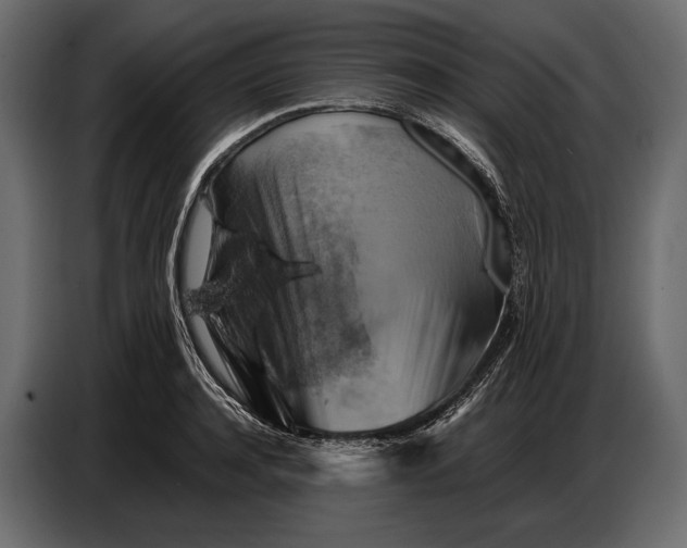 X0000087010944200705071523