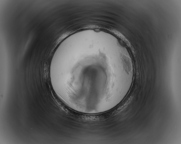 X0000087010945200705071523