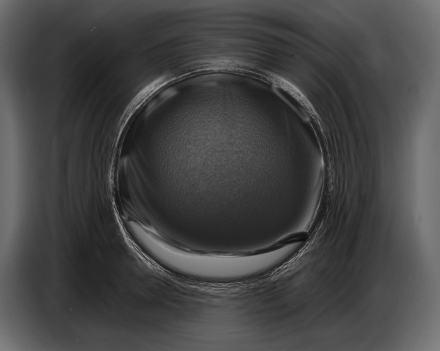 X0000087010946200705071523