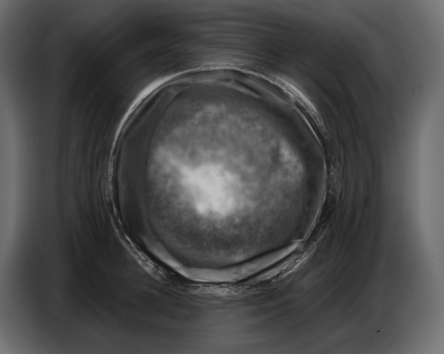 X0000087010948200705071523