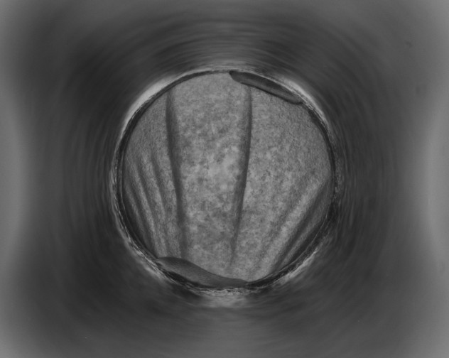 X0000087010952200705071523