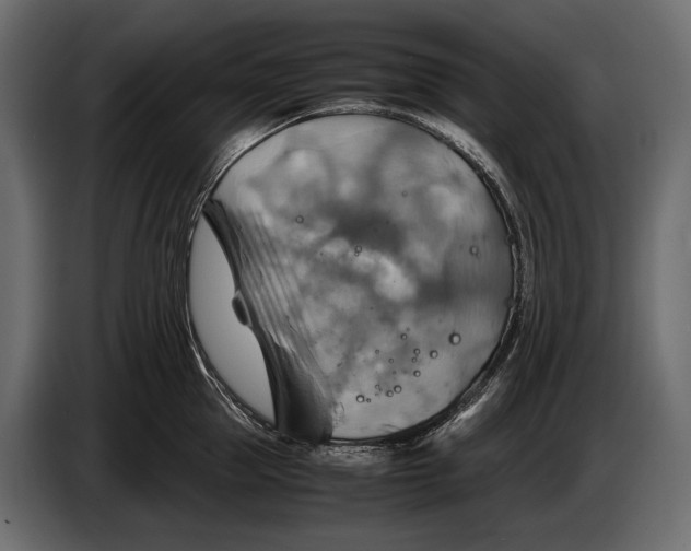 X0000087010953200705071523