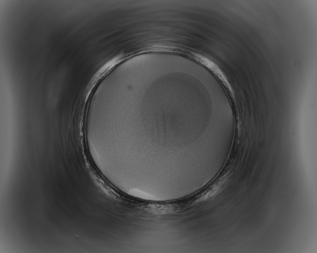 X0000087010954200705071523