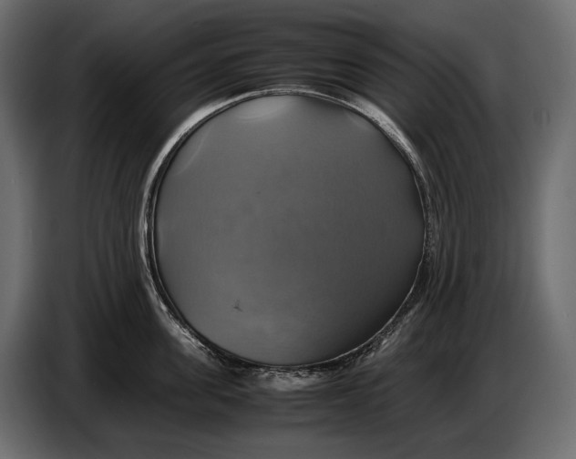 X0000087010955200705071523