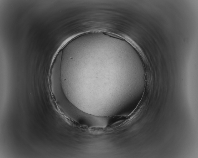 X0000087010956200705071523