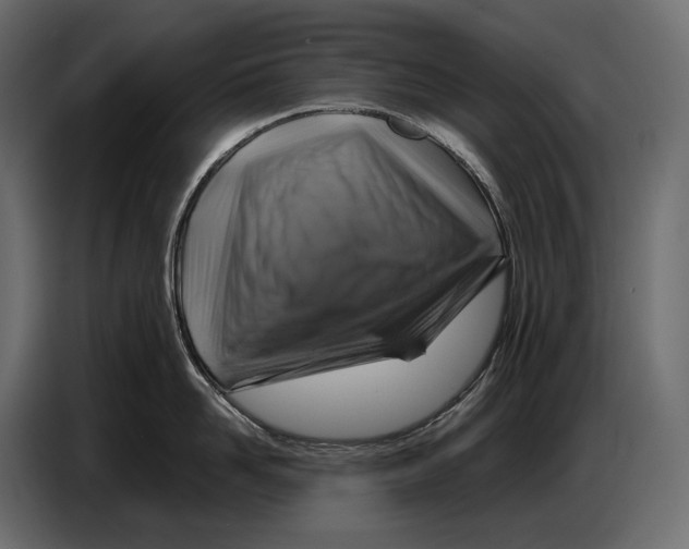 X0000087010958200705071523