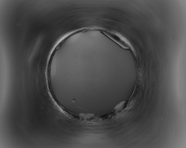 X0000087010959200705071523