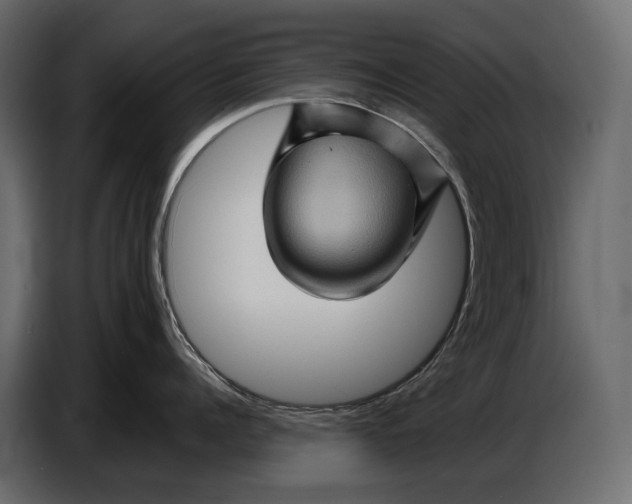 X0000087010960200705071523