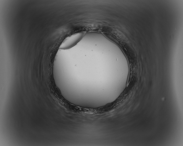 X0000087010961200705071523