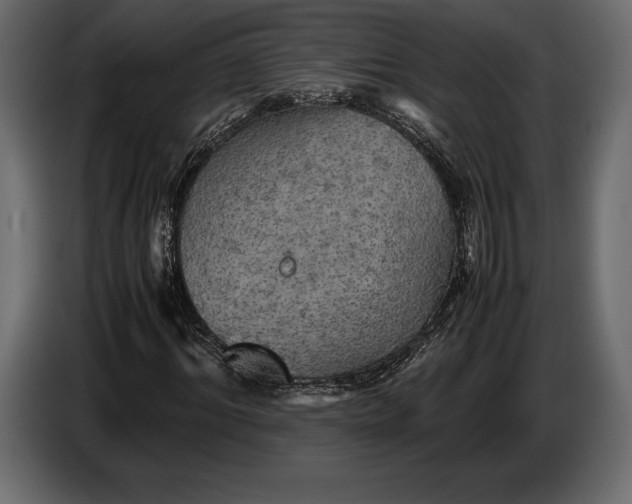 X0000087010964200705071523