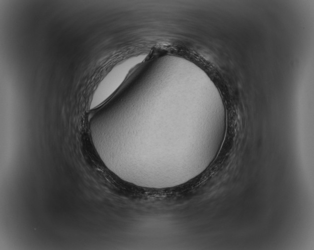 X0000087010965200705071523