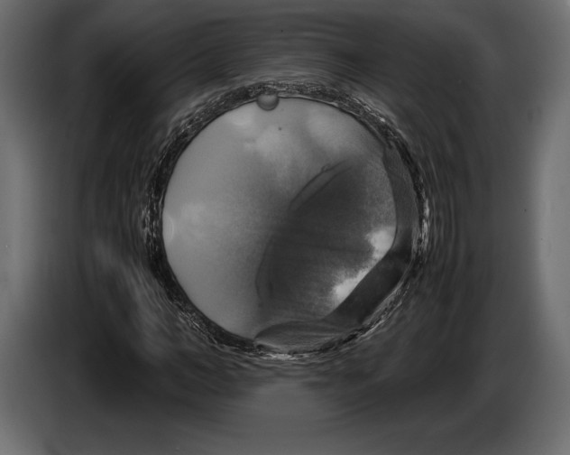 X0000087010966200705071523