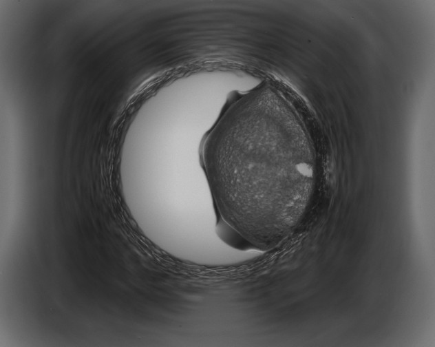 X0000087010968200705071522