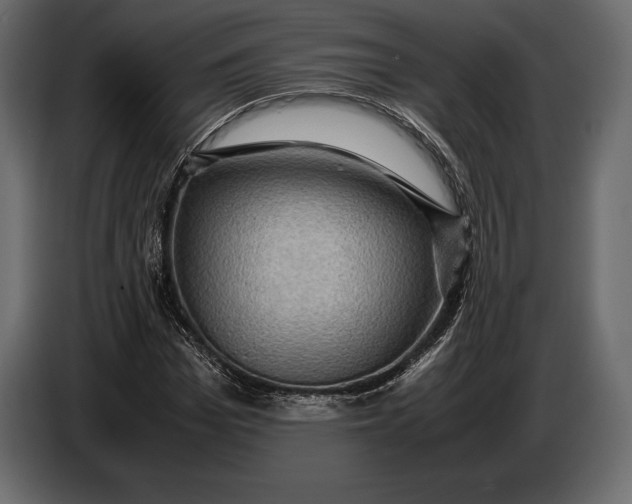 X0000087010969200705071522