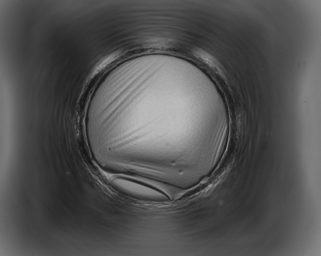 X0000087010970200705071522