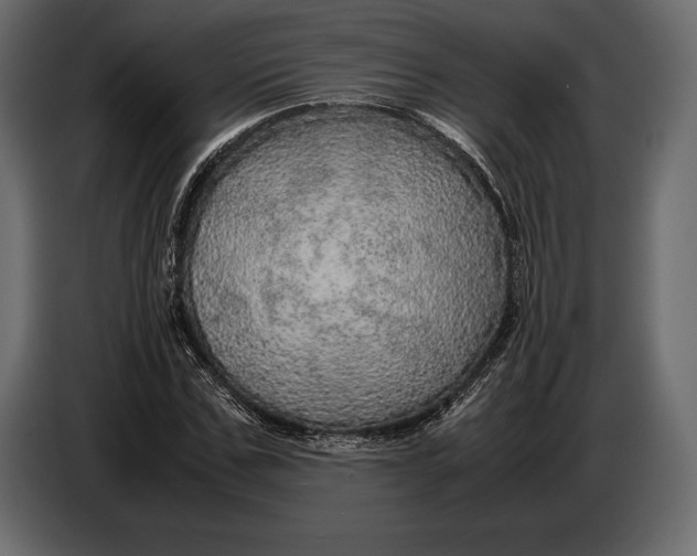 X0000087010971200705071522