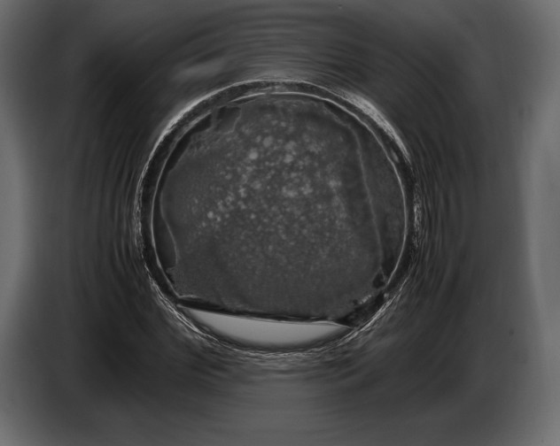 X0000087010972200705071522