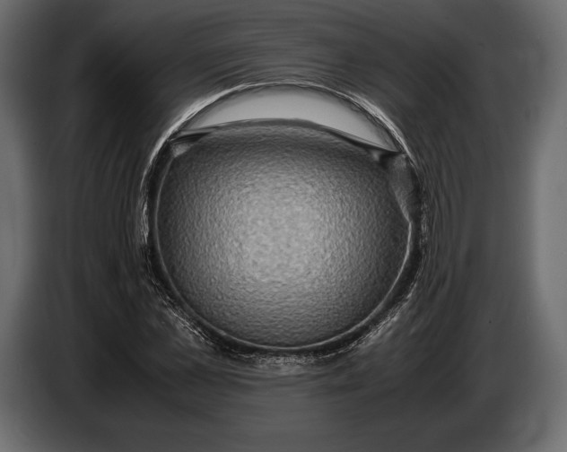 X0000087010973200705071522