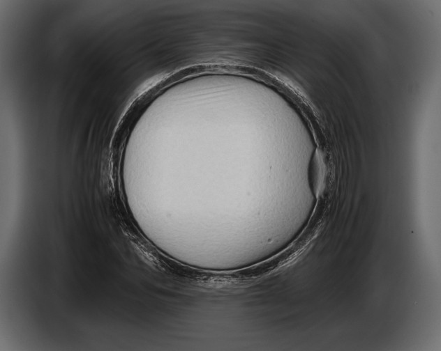 X0000087010974200705071522