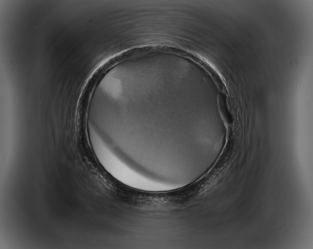 X0000087010975200705071522