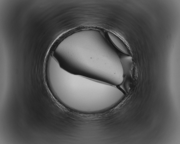 X0000087010976200705071522