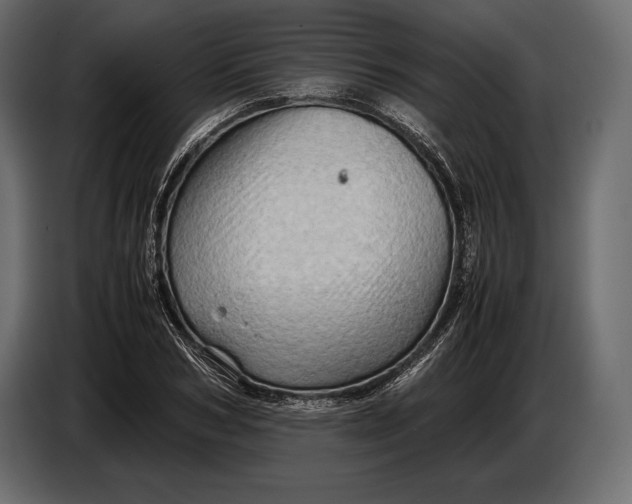 X0000087010978200705071522