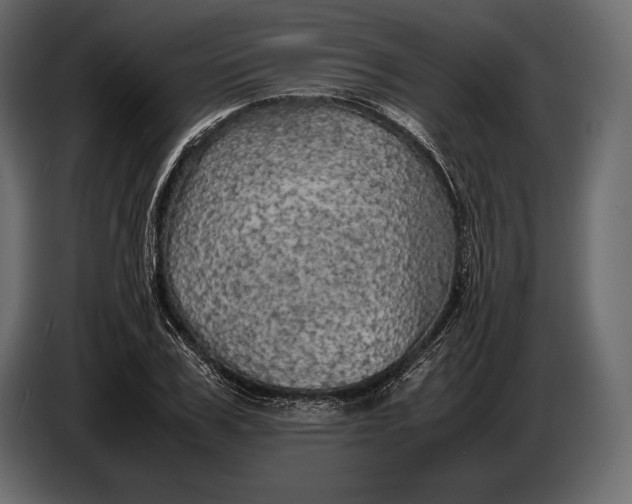 X0000087010979200705071522