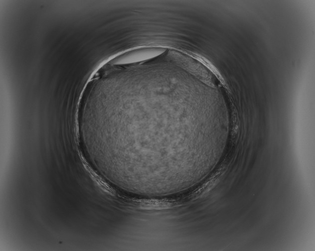 X0000087010980200705071522