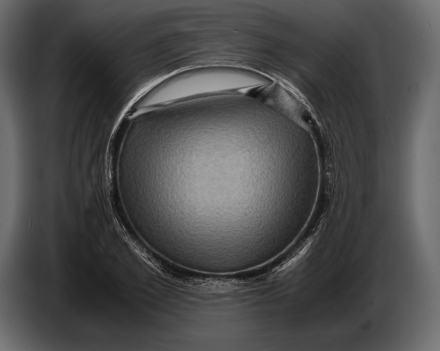 X0000087010981200705071522