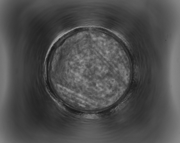 X0000087010982200705071522