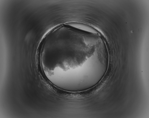 X0000087010983200705071522