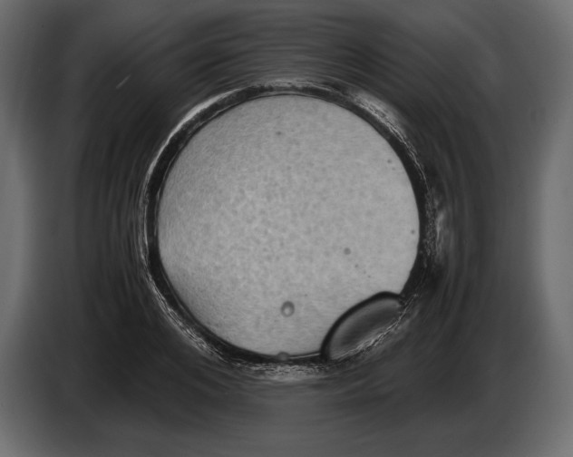 X0000087010984200705071522