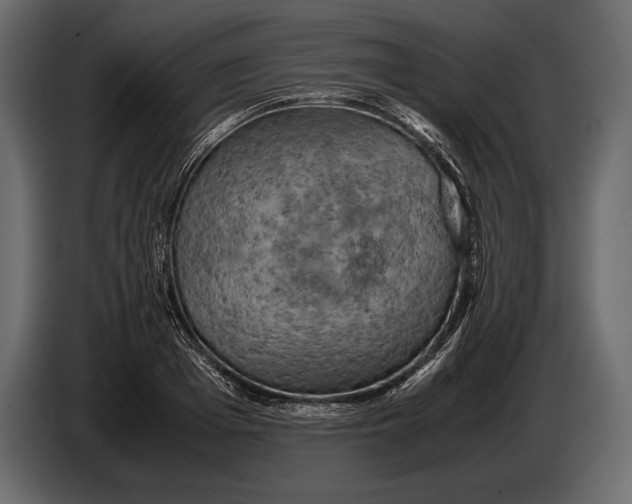 X0000087010985200705071522