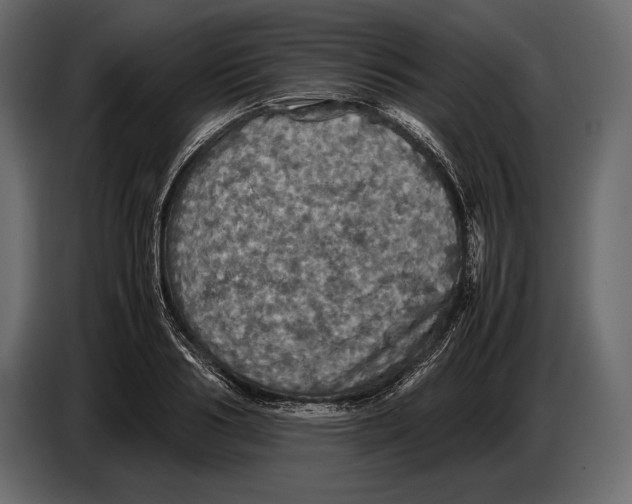 X0000087010986200705071522