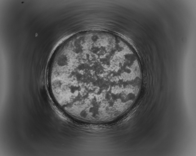 X0000087010987200705071522