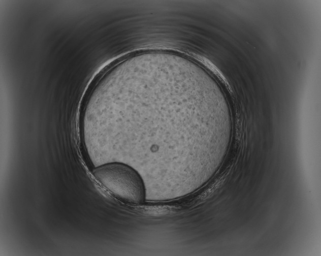 X0000087010988200705071522