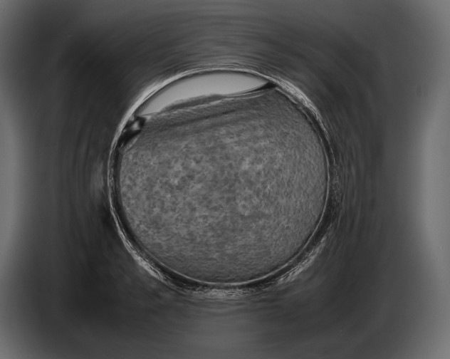 X0000087010989200705071522