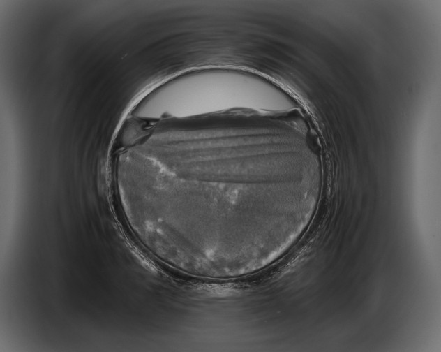 X0000087010990200705071522