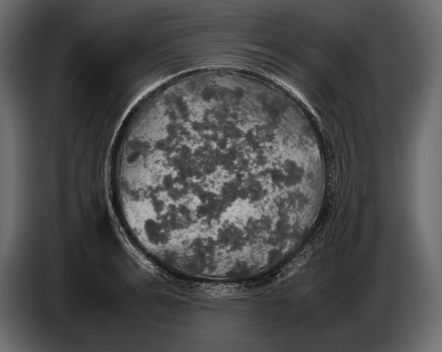 X0000087010991200705071522