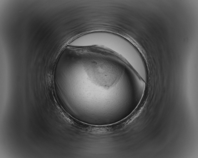 X0000087010993200705071522